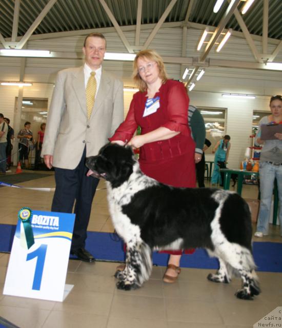 Фотография № 43702