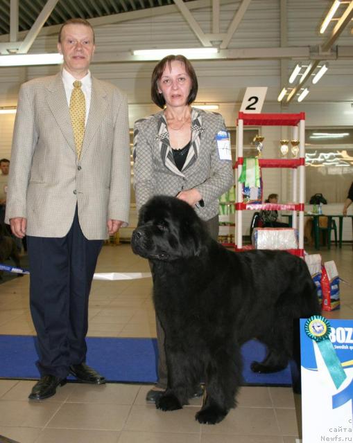 Фотография № 43707