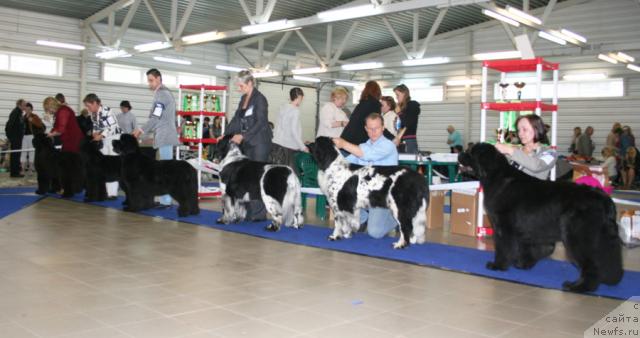 Фотография № 43708