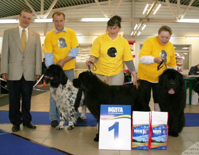 Фото: Питомник Плюшевая Панда