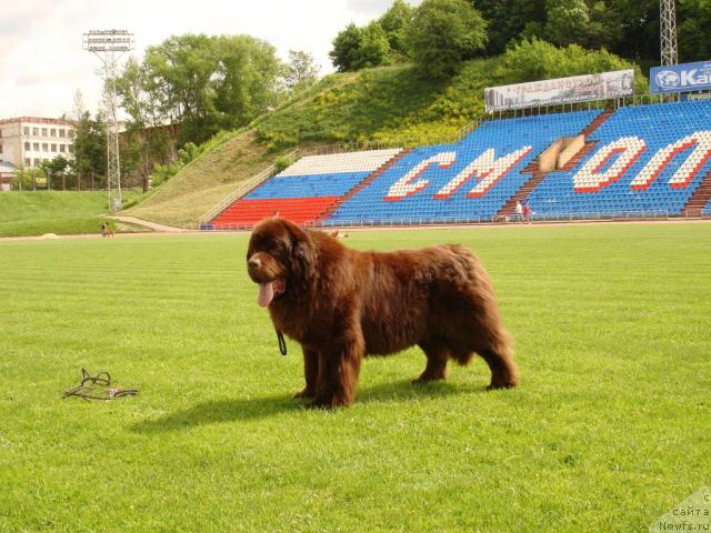 Фотография № 43724