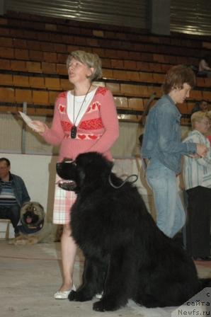 Фотография № 43728