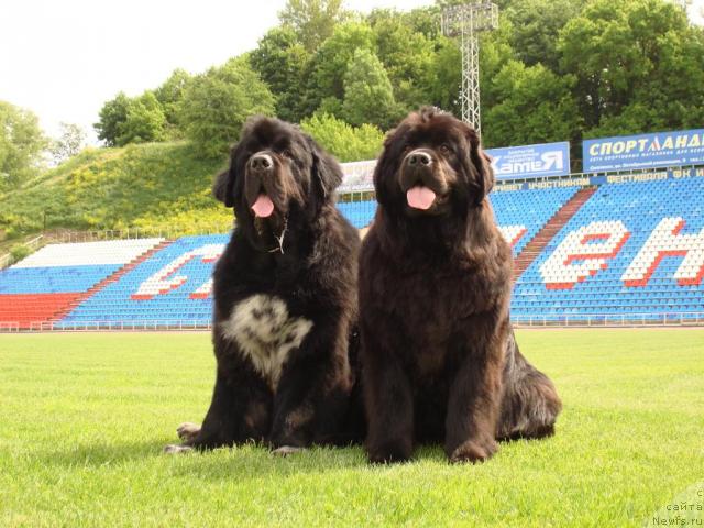 Фотография № 43729