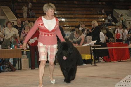 Фотография № 43731