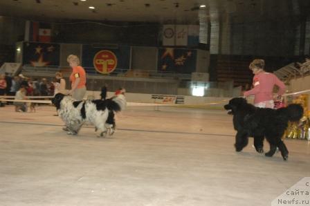 Фотография № 43732