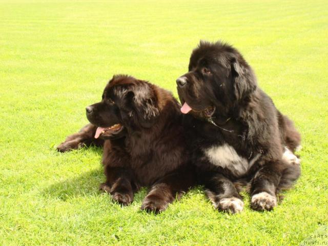 Фотография № 43734