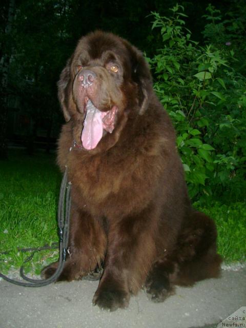 Фотография № 43741