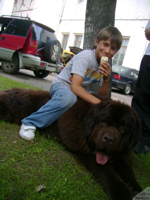 Фотография № 43742