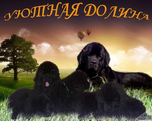 Фотография № 43749