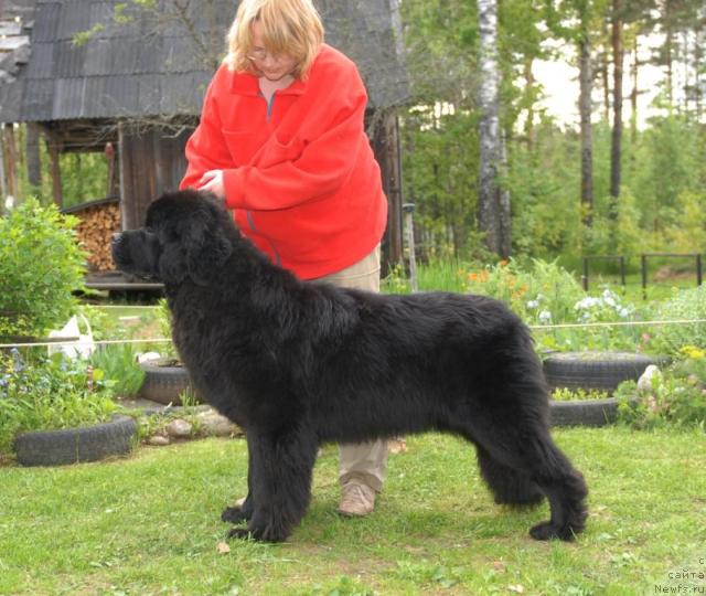 Фотография № 43760