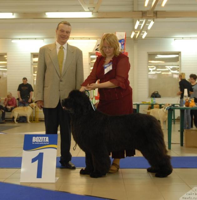 Фотография № 43763