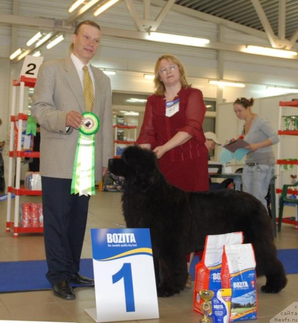 Фотография № 43764