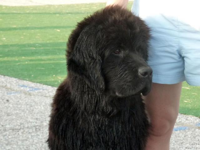 Фотография № 43766