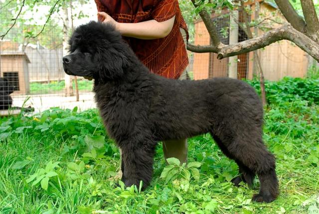 Фотография № 43792