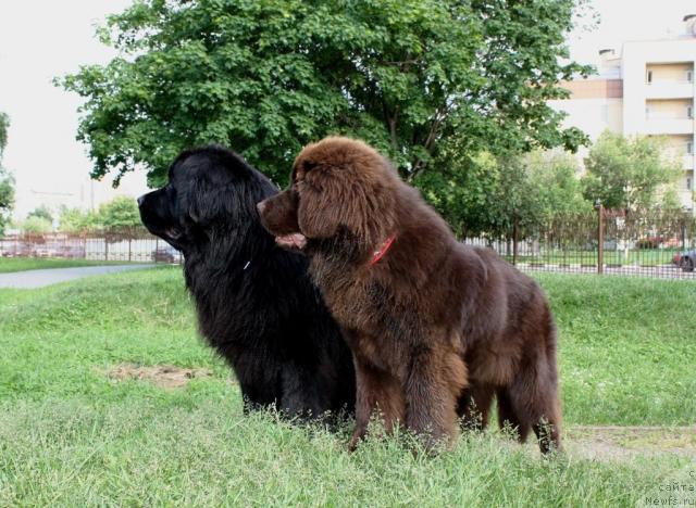 Фотография № 43813