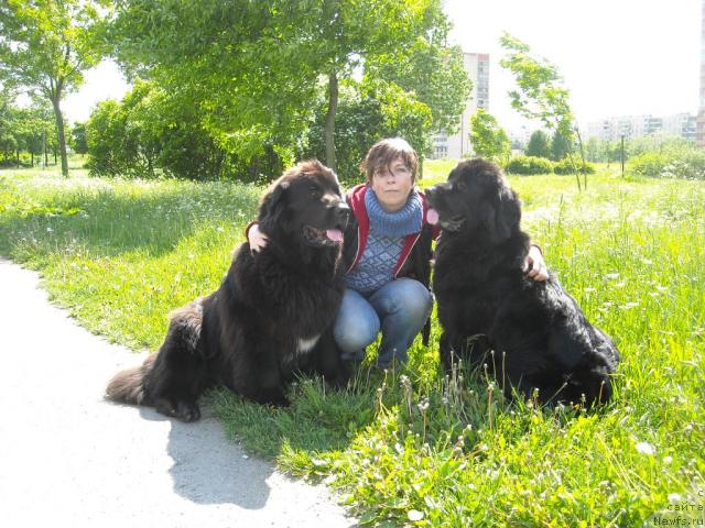 Фото: ньюфаундленд B'yanka Sed'moe CHudo Sveta (Бьянка Седьмое Чудо Света), Natal'ya Avenirova (Наталья Авенирова), ньюфаундленд Barbara CHernyiy Bril'yant (Барбара Черный Брильянт)