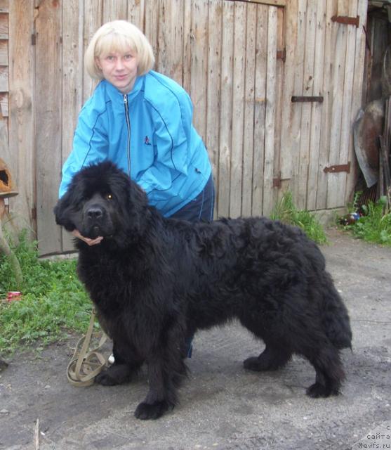 Фотография № 43817