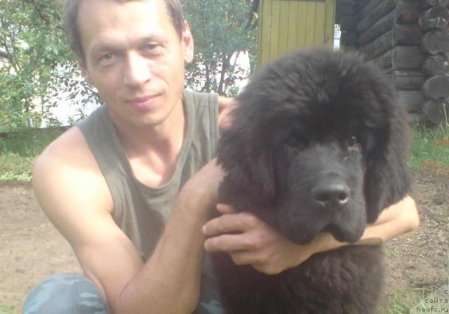 Фотография № 43833