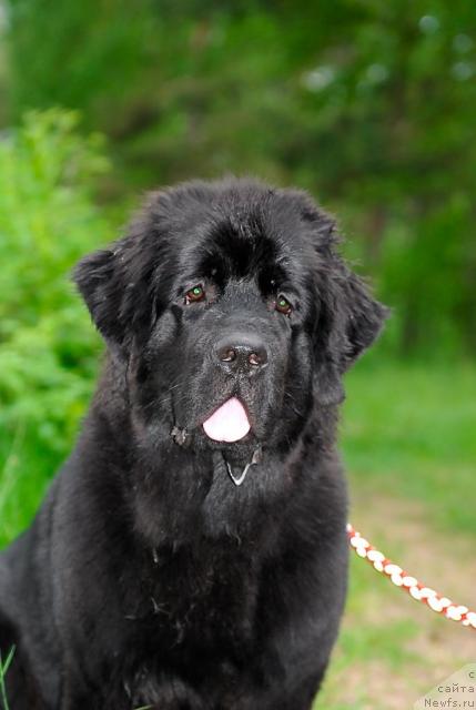 Фотография № 43838