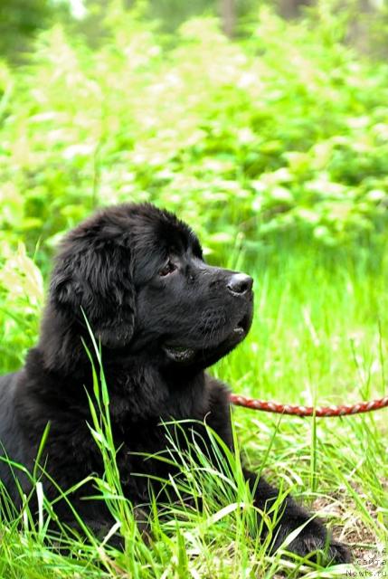 Фотография № 43841