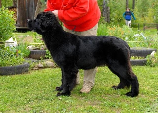 Фотография № 43843