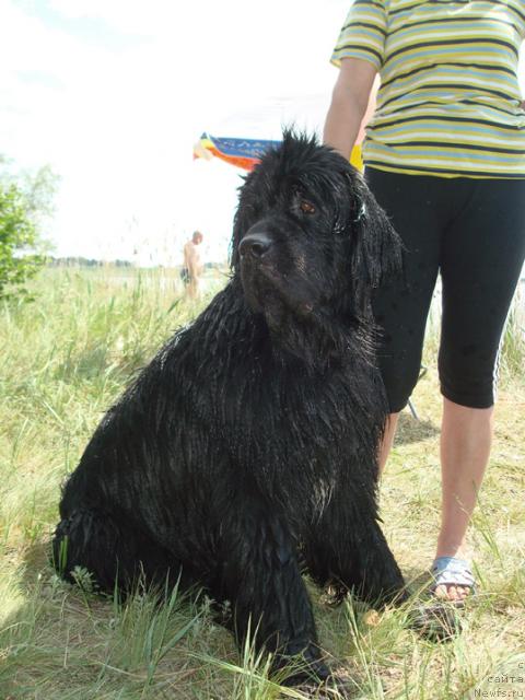 Фотография № 43890