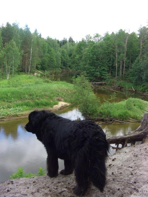 Фотография № 43901