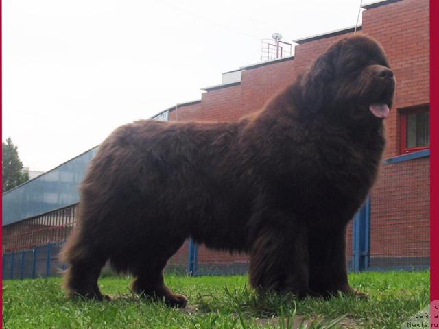 Фотография № 43914