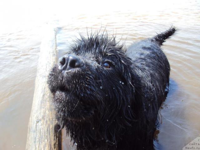 Фотография № 43916