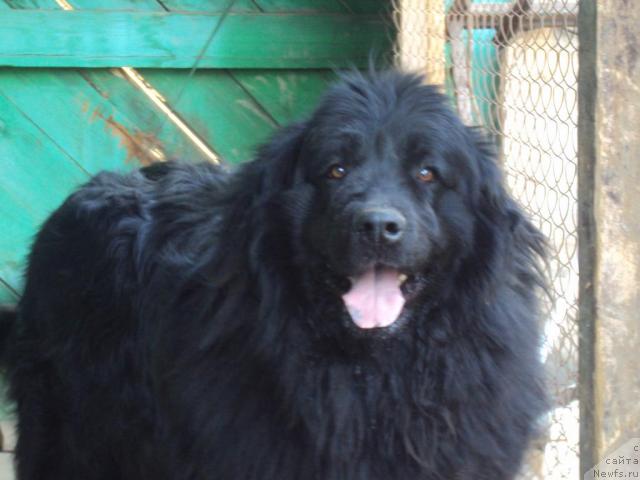 Фотография № 43925