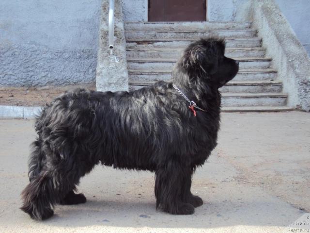 Фотография № 43928