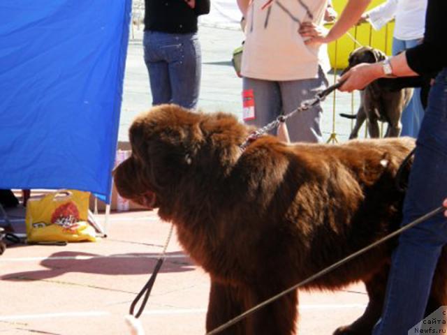 Фотография № 43934