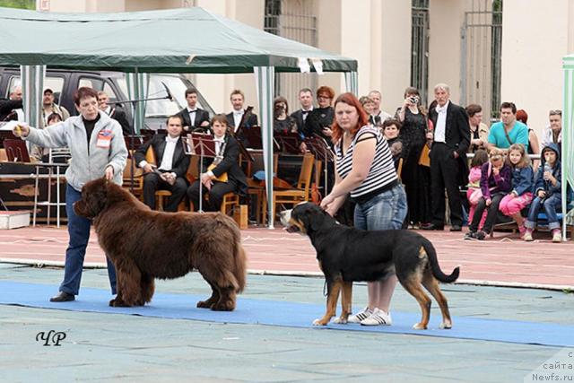 Фотография № 43944