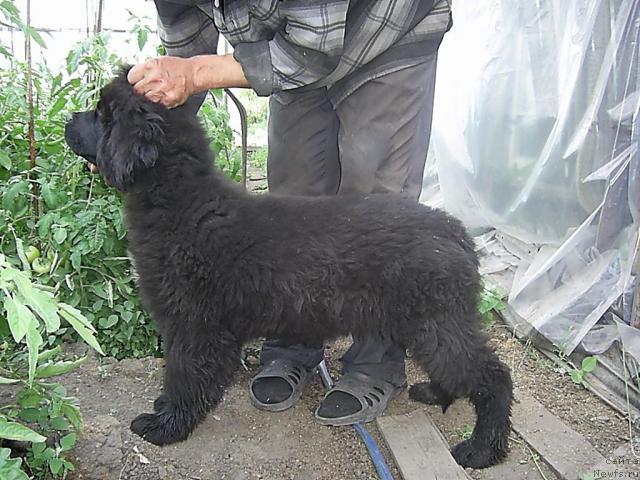 Фотография № 43952