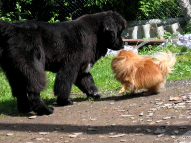 Фотография № 43966