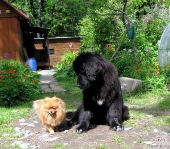 Фотография № 43967