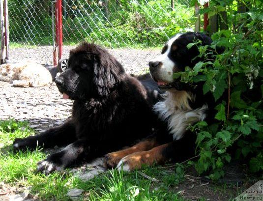 Фотография № 43969