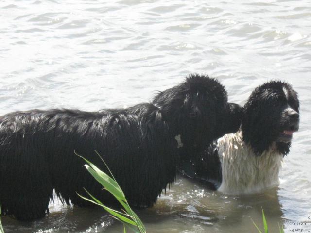 Фотография № 43972