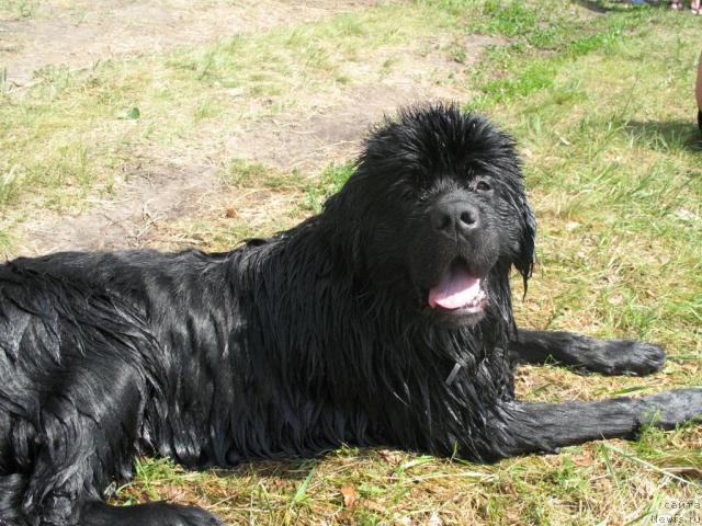 Фотография № 43974