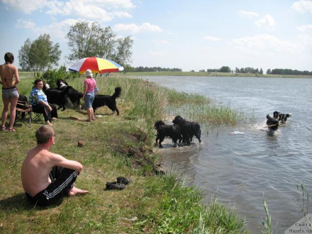 Фотография № 43975