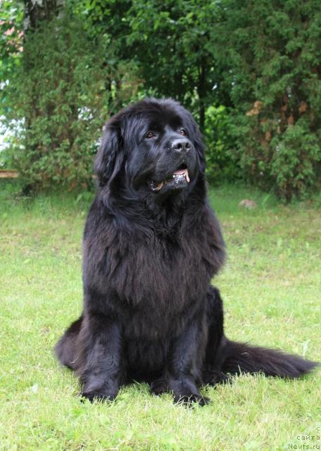 Фотография № 44019