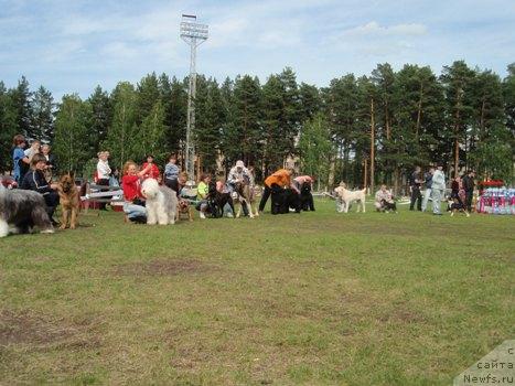 Фотография № 44023