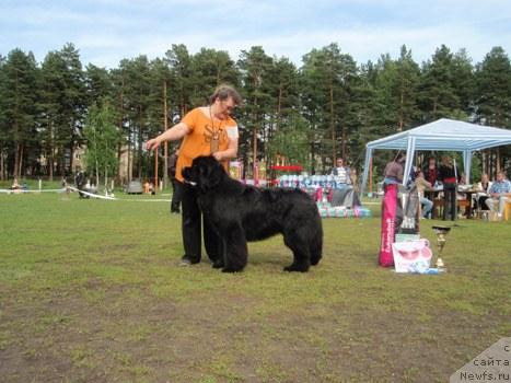 Фотография № 44027