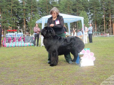 Фотография № 44028