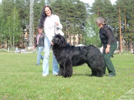 Фотография № 44029