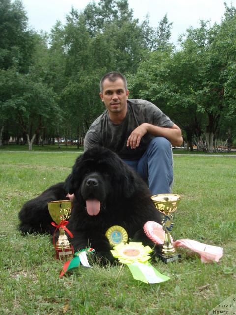 Фото: ньюфаундленд King of Helluland Good Friend, Vladimir Aleksandrov (Владимир Александров)