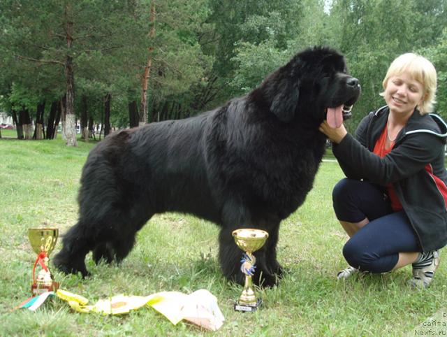 Фотография № 44038