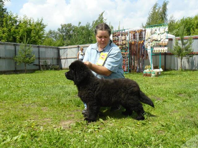 Фотография № 44062