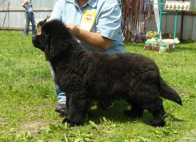 Фотография № 44064