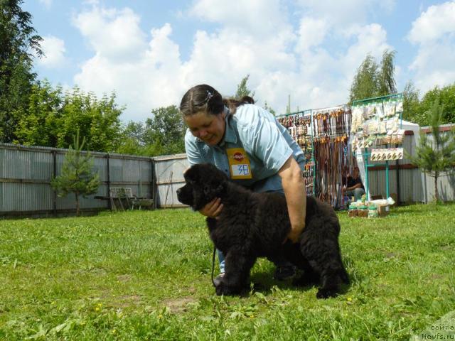 Фотография № 44067